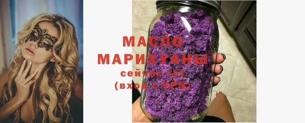 гидра Краснослободск