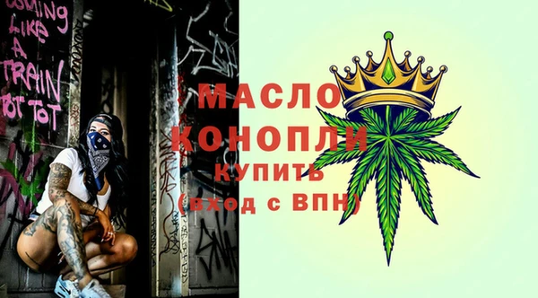 гидра Краснослободск