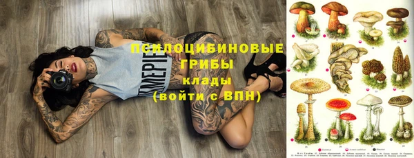 гидра Краснослободск