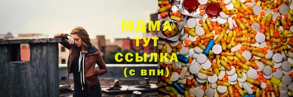 гидра Краснослободск