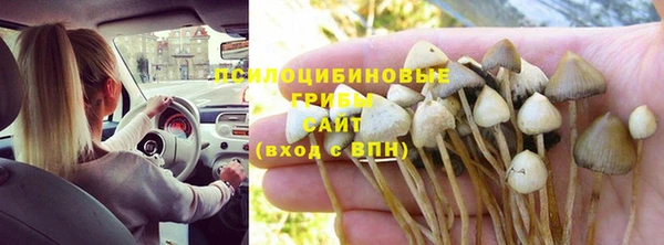 мяу мяу мука Корсаков