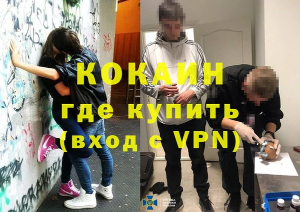 прущие грибы Шадринск
