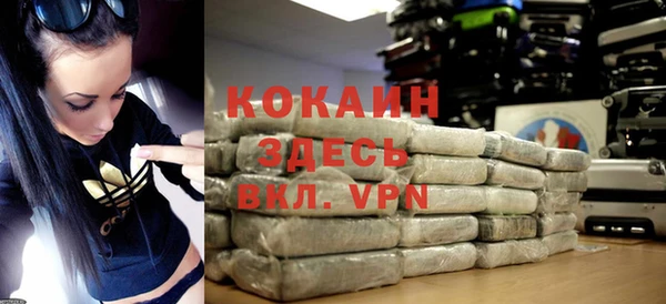 гидра Краснослободск